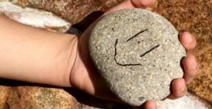 a hand holding a rock with a smiley face drawn on it