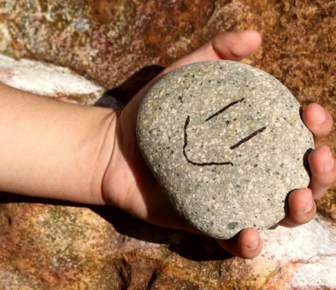 a hand holding a rock with a smiley face drawn on it
